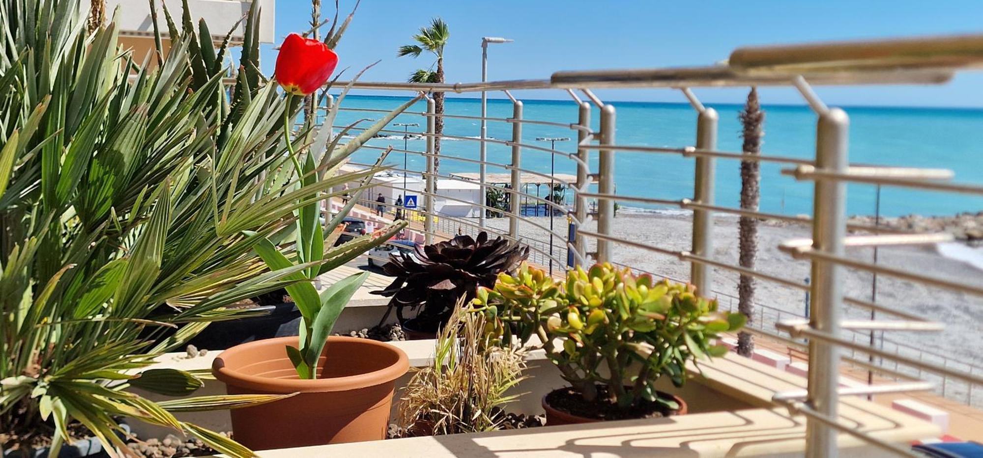 Mare Blu Apartman Ventimiglia Kültér fotó